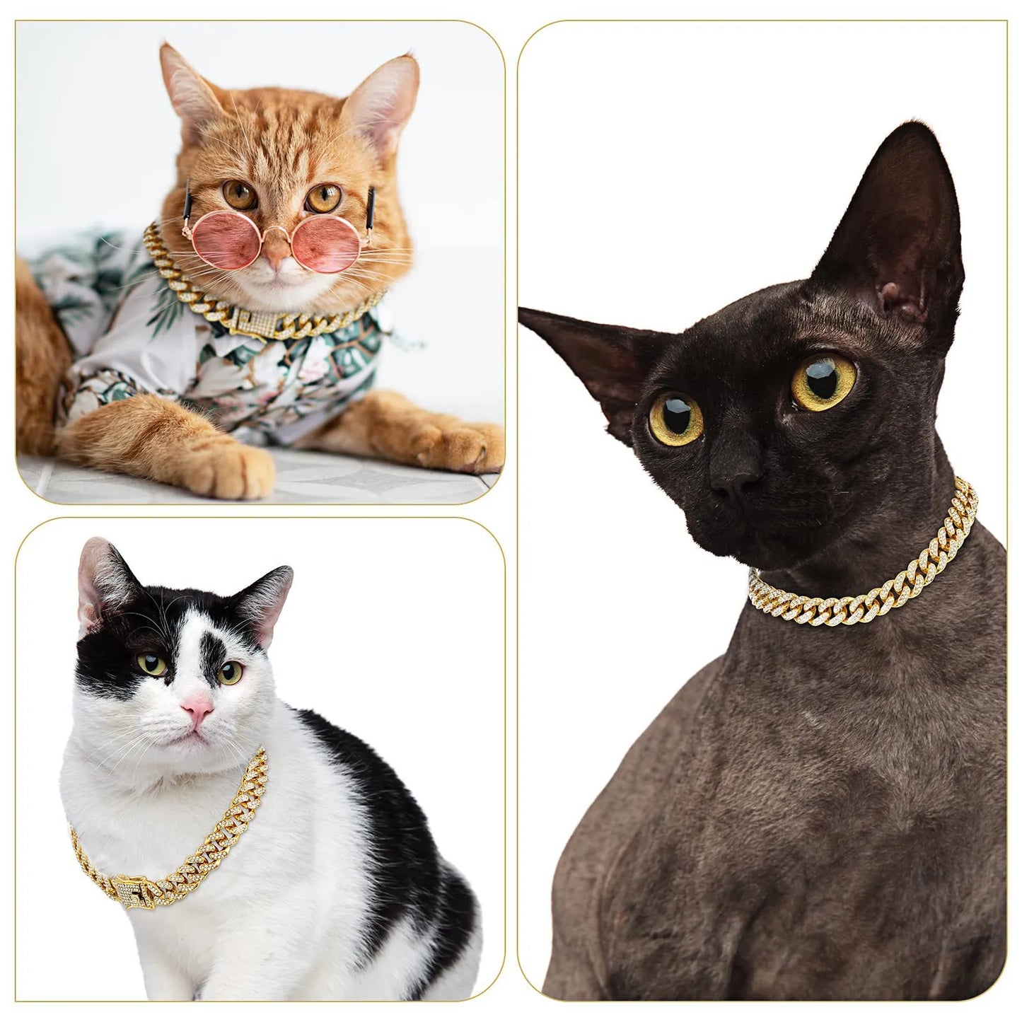 Collar de diamantes para perros y gatos