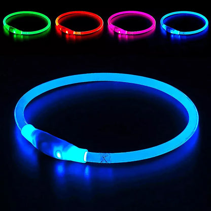 Collar LED para perros