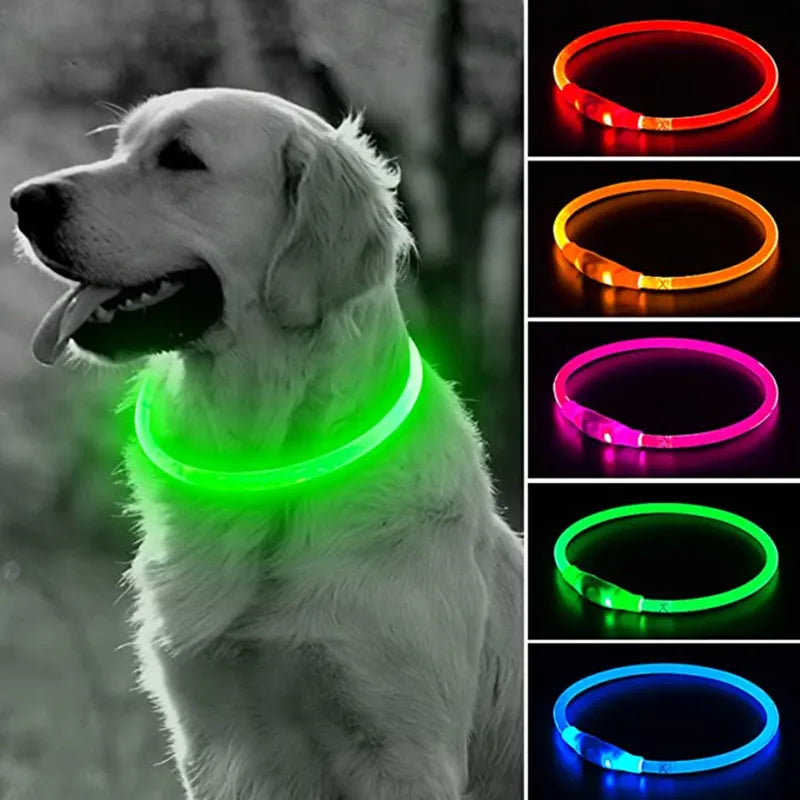 Collar LED para perros