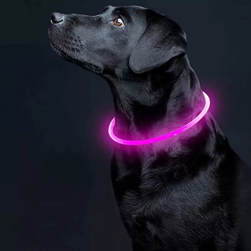 Collar LED para perros