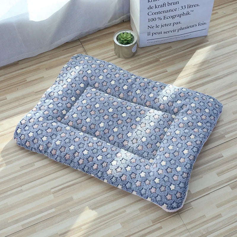 Cama para perros