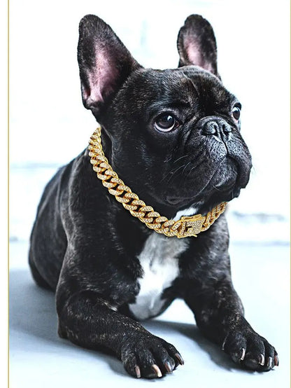 Collar de diamantes para perros y gatos